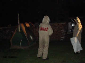 dsc00360 (copy).jpg