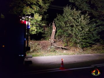 20171006_000442 (copy).jpg