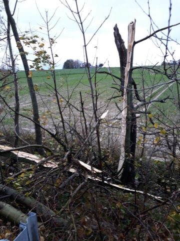 20171029_094109 (copy).jpg