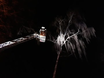 20171214_175234.jpg