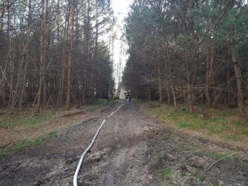 20180413_182019 (copy).jpg