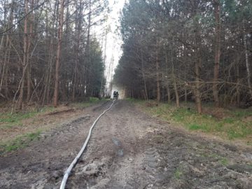 20180413_182048 (copy).jpg