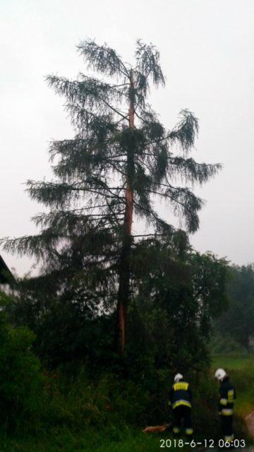 img_20180612_060352_hdr (copy).jpg
