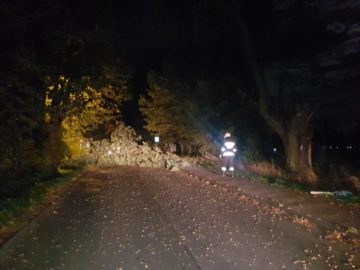 20180923_204107 (copy).jpg