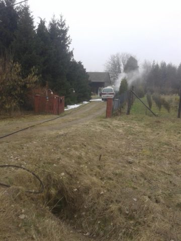 20190224_103131 (copy).jpg