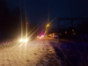 20190309_181355 (copy).jpg