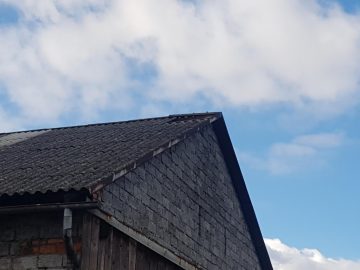 20190311_100101 (copy).jpg