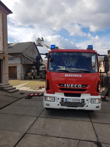 20190311_113332 (copy).jpg