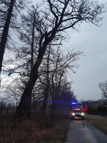 20190311_173304 (copy).jpg