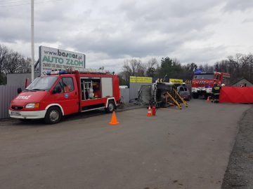 20190316_105155 (copy).jpg