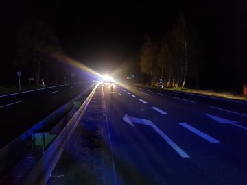 20190423_020512 (copy).jpg