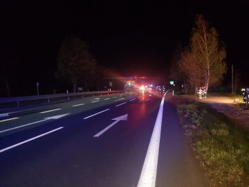 20190423_022916 (copy).jpg