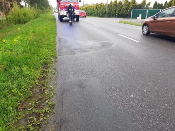 20190509_153519 (copy).jpg