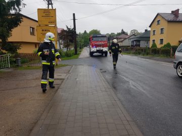 20190509_160306 (copy).jpg