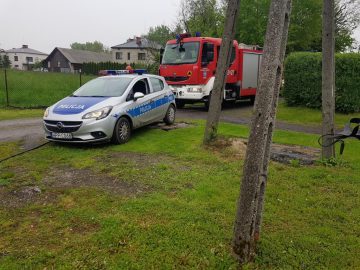 20190514_083721 (copy).jpg