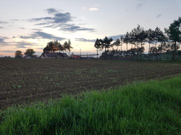 20190517_201204 (copy).jpg
