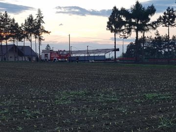 20190517_201210 (copy).jpg