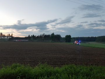 20190517_202839 (copy).jpg