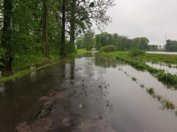 20190523_105828 (copy).jpg
