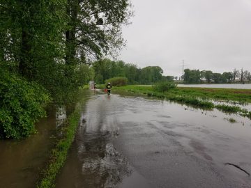 20190523_105917 (copy).jpg