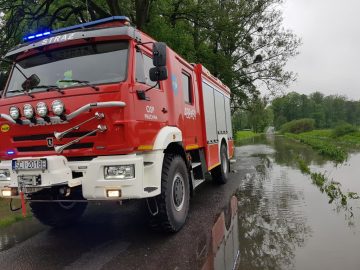 20190523_110454 (copy).jpg