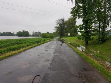 20190523_111049 (copy).jpg