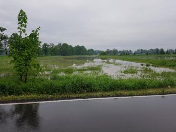 20190524_072914 (copy).jpg