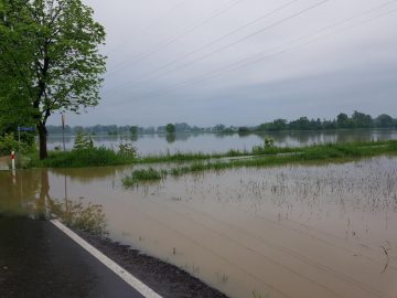 20190524_072919 (copy).jpg