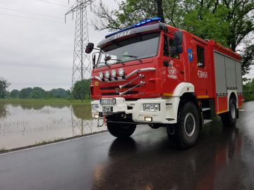 20190524_072938 (copy).jpg
