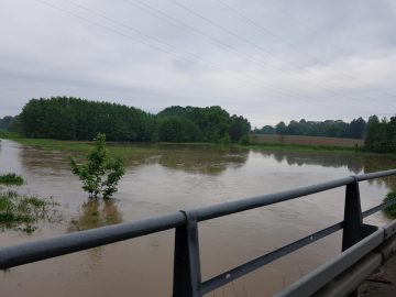 20190524_073011 (copy).jpg