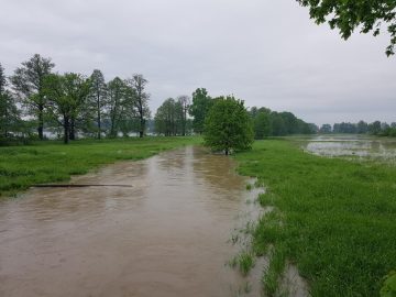 20190524_073046 (copy).jpg