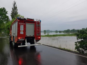 20190524_073115 (copy).jpg