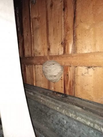 received_792333884498382.jpeg