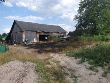 20190728_163853 (copy).jpg