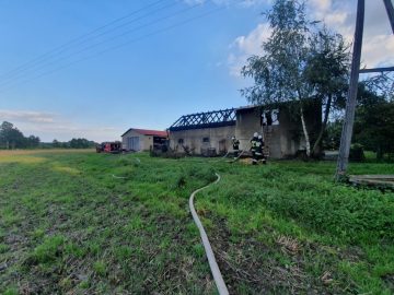 20190903_175835 (copy).jpg