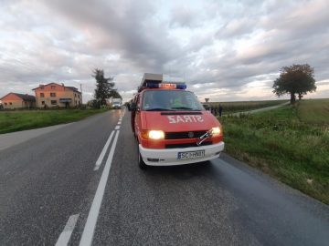 20190918_184205 (copy).jpg