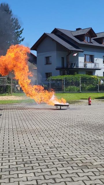 20250614_114015 (copy).jpg