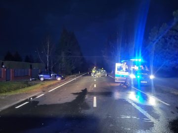 20251210_065004 (copy).jpg