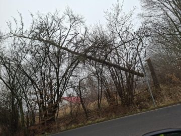 img-20251227-wa0000 (copy).jpg