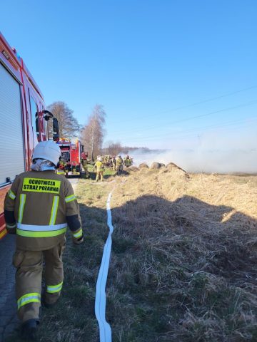 20260314_101315 (copy).jpg