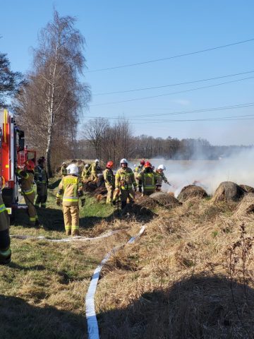 20260314_101318(0) (copy).jpg