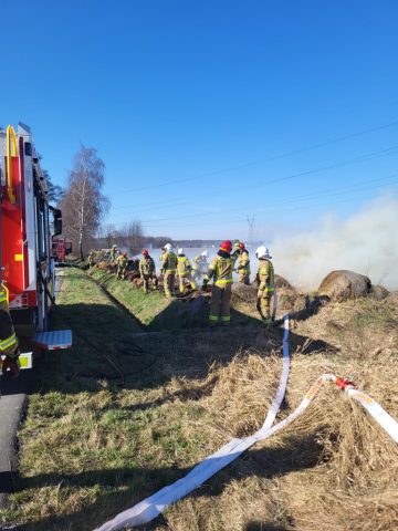 20260314_101408 (copy).jpg