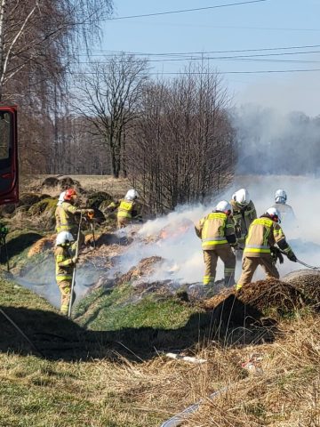 20260314_102824 (copy).jpg