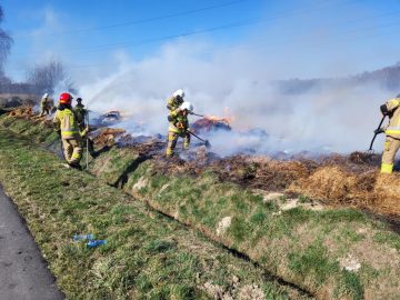 20260314_103558 (copy).jpg