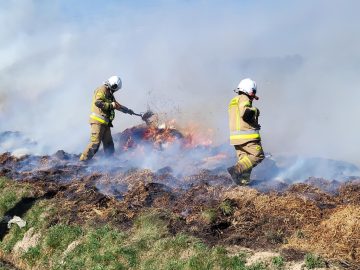 20260314_103607 (copy).jpg