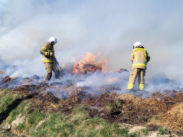 20260314_103608 (copy).jpg