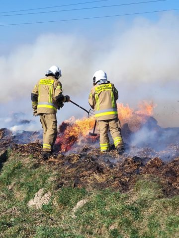 20260314_103715 (copy).jpg