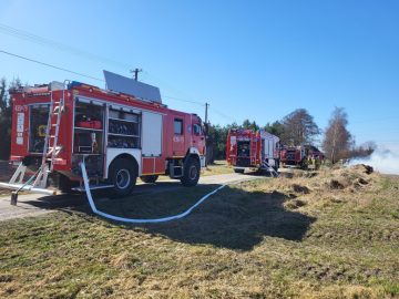 20260314_105043 (copy).jpg